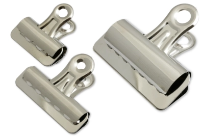 Boston Bulldog spailes
